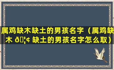 属鸡缺木缺土的男孩名字（属鸡缺木 🦢 缺土的男孩名字怎么取）